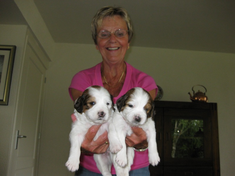 Puppies